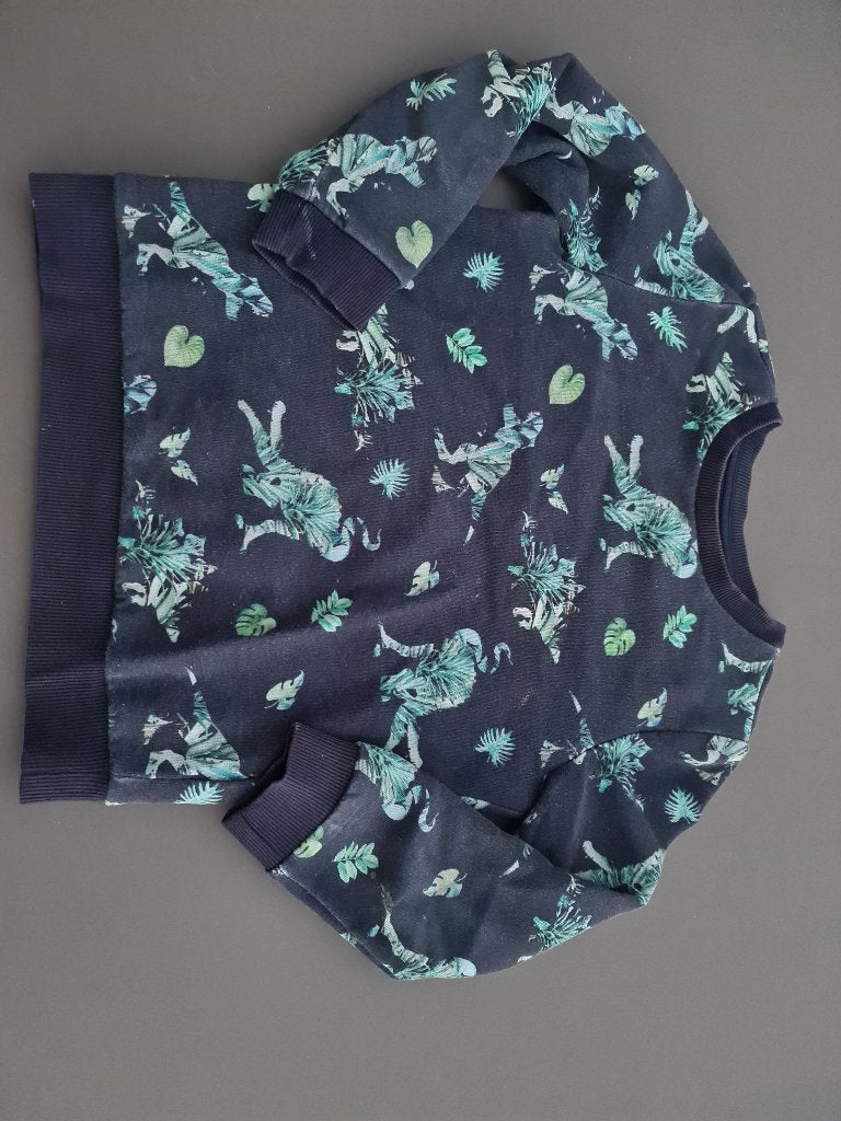 donkere pull, trui, dinos, Kidz Nation, 110, Kinderen en Baby's, Kinderkleding | Maat 110, Ophalen, Zo goed als nieuw