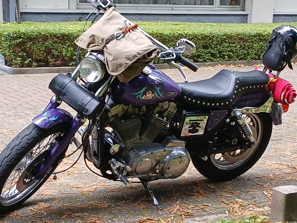 Harley Davidson Sportster, Motoren, 2 cilinders, Gebruikt, 900 cc, Particulier