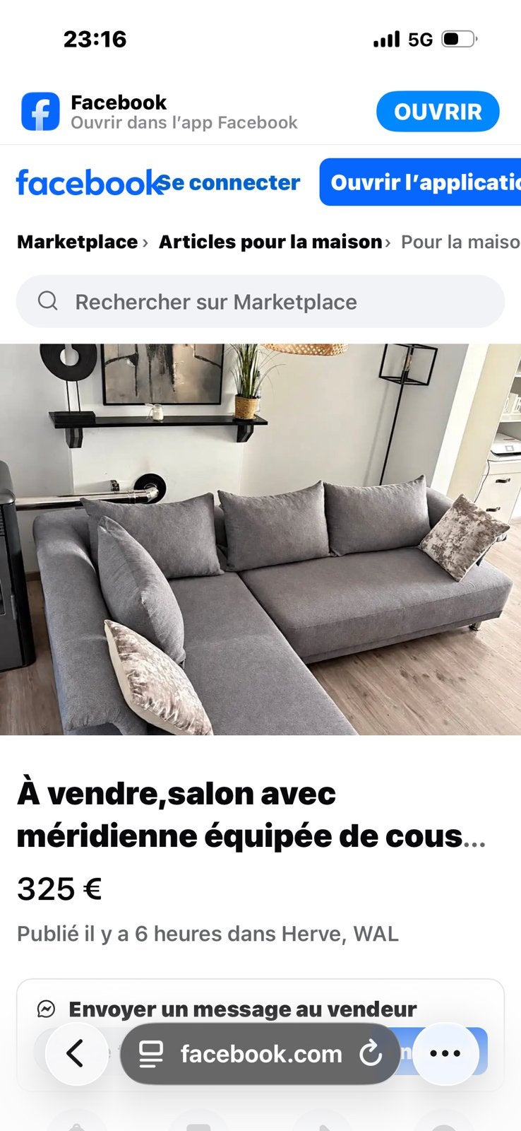 Salon entièrement nettoyé,vendu avec les coussins., Enlèvement, Utilisé, Tissus