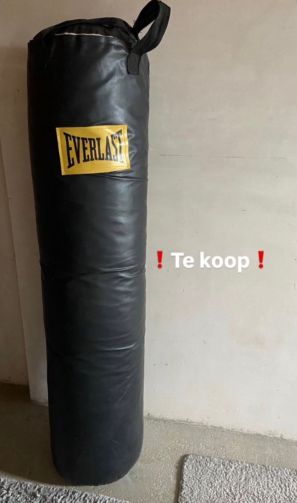 Bokszak everlast, Sport en Fitness, Vechtsporten en Zelfverdediging, Ophalen, Zo goed als nieuw