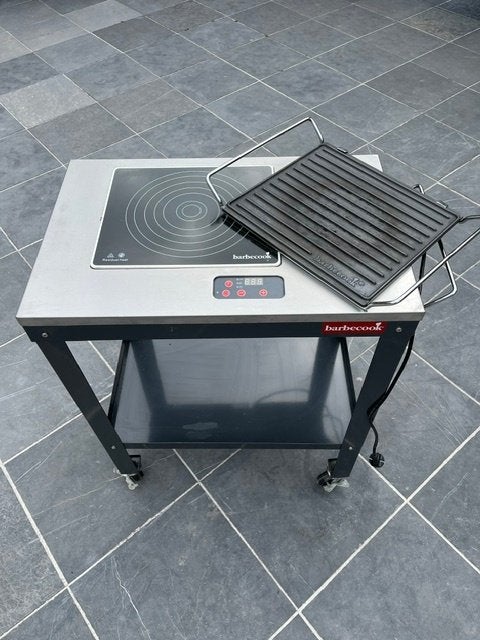 elektrische barbecues, Tuin en Terras, Ophalen, Zo goed als nieuw, Barbecoock