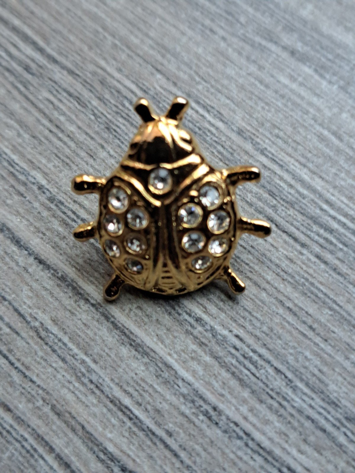 Pins Bijou coccinelle  avec des strass., Handtassen en Accessoires, Ophalen