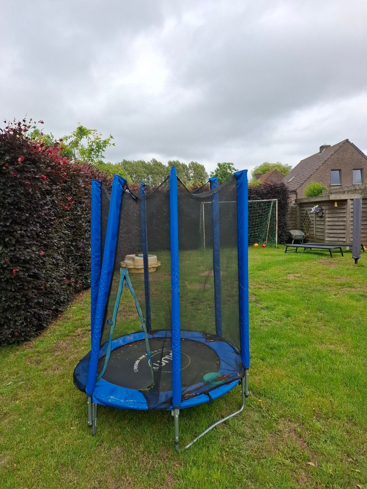Trampoline, Enlèvement