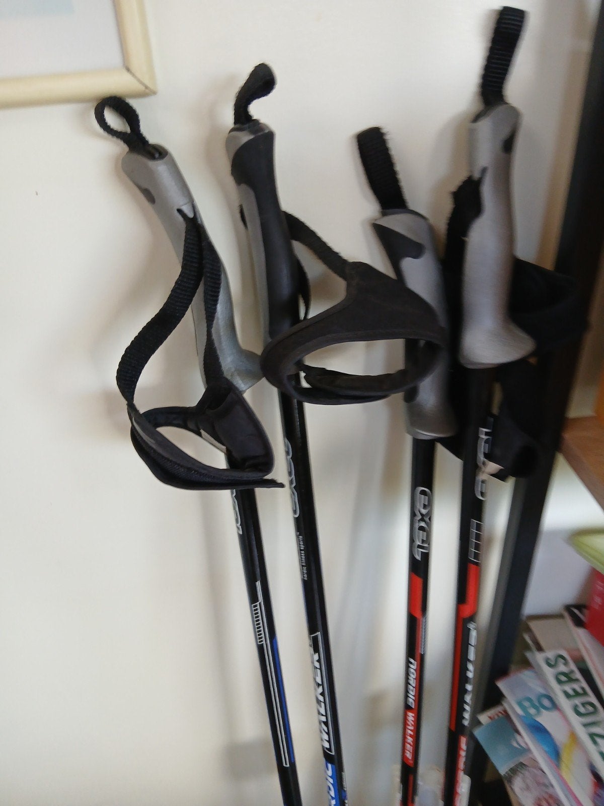 sport Nordic stokken, Divers, Enlèvement, Ajustable, Comme neuf