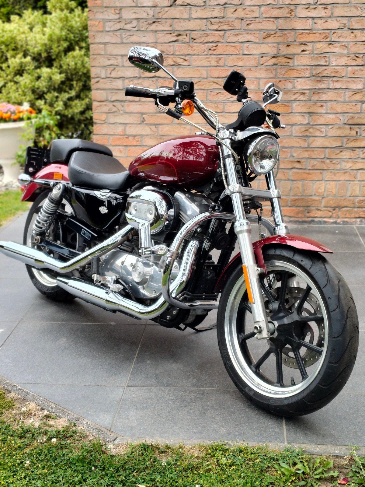 Harley Davidson Sportster 883 amper15000km ABS ,GPS, Motoren, Motoren | Harley-Davidson, 2 cilinders, 883 cc, Toermotor, Gebruikt