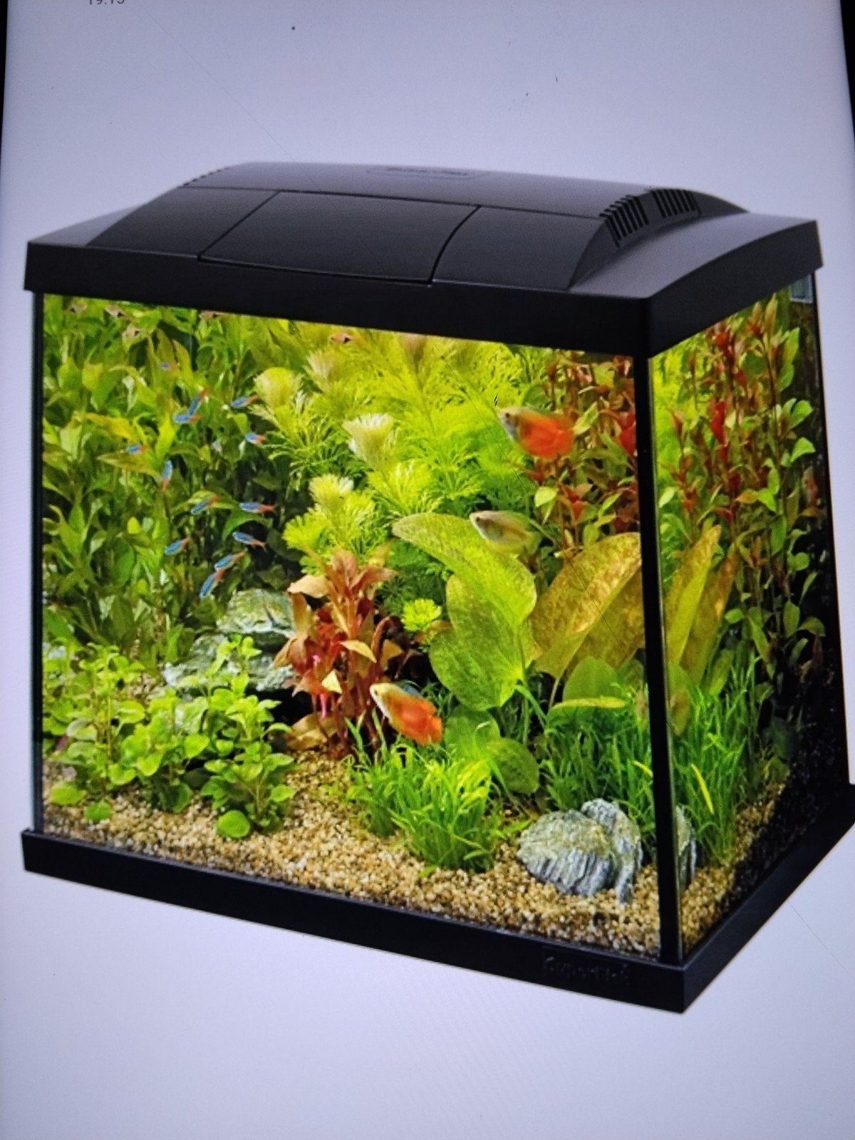 aquariums, Animaux & Accessoires, Enlèvement, Chauffage, Filter