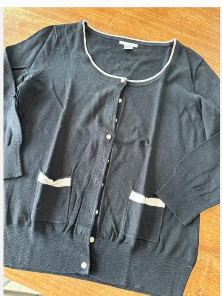 Vest H&M maat L, Kleding | Dames, H&M, Zwart, Maat 42/44 (L), Ophalen of Verzenden
