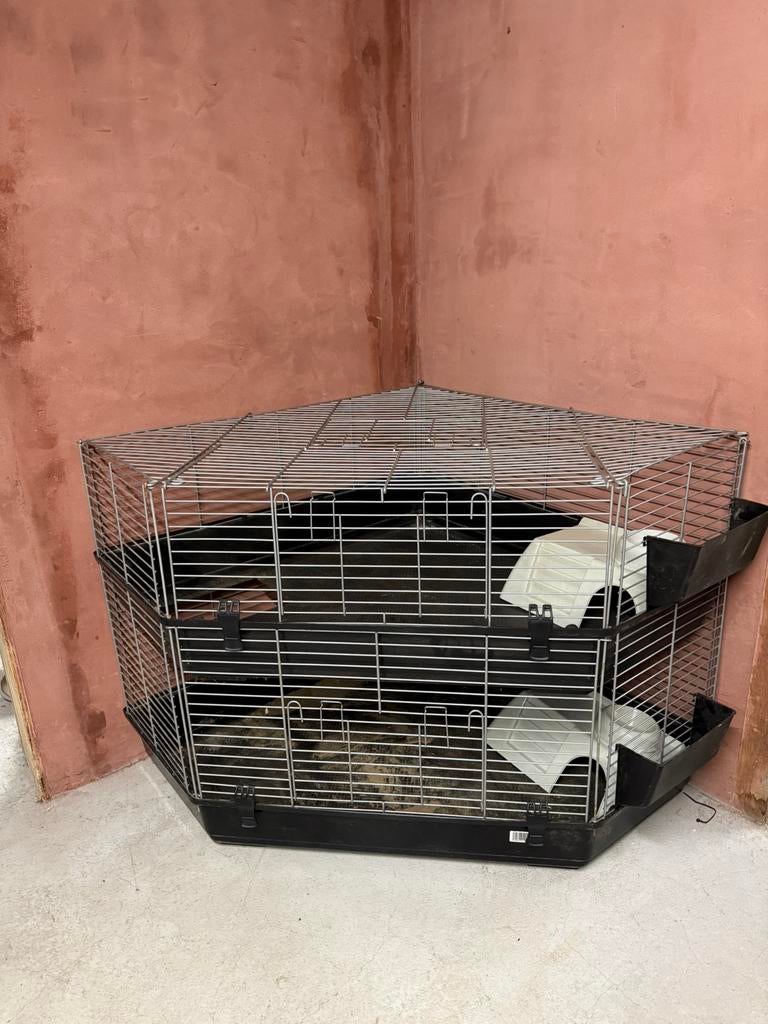 Konijnen kooi, Dieren en Toebehoren, Ophalen, Kooi, 60 tot 90 cm, Konijn