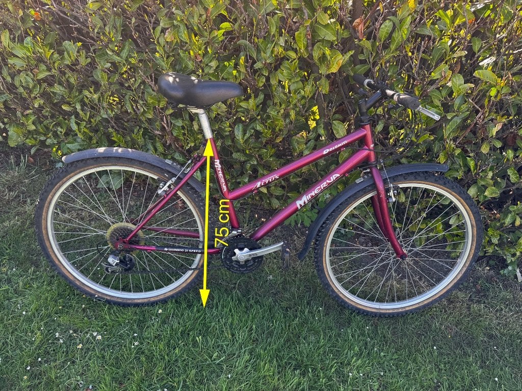Vélo VTT Minerva 21 vitesses, Vélos & Vélomoteurs, Enlèvement, Utilisé