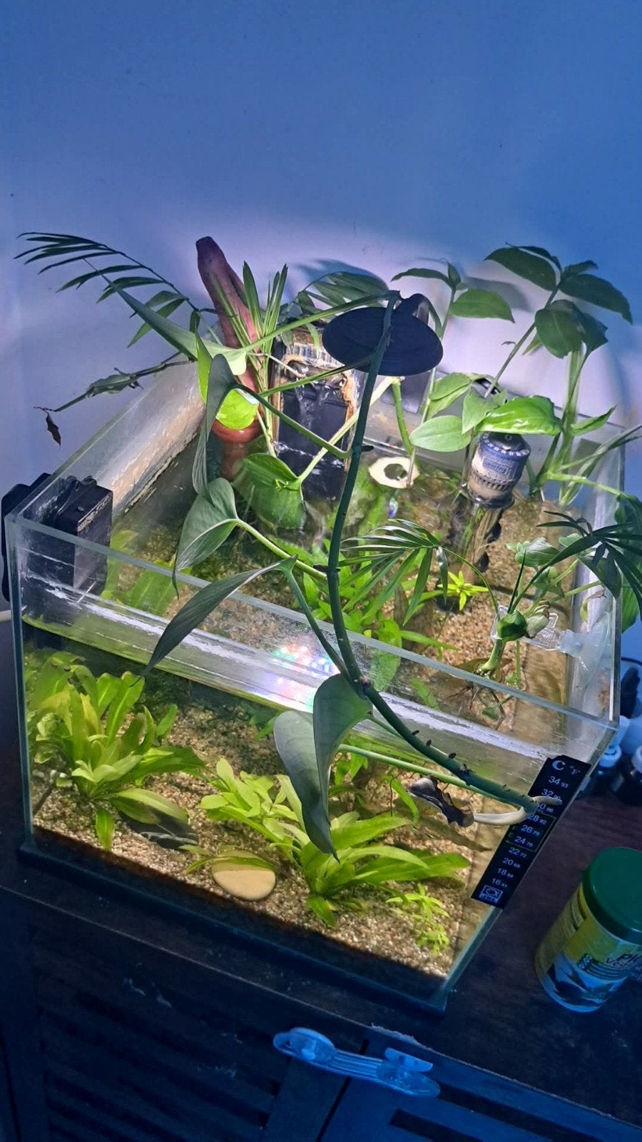 Aquarium +matériel à vendre, Ophalen