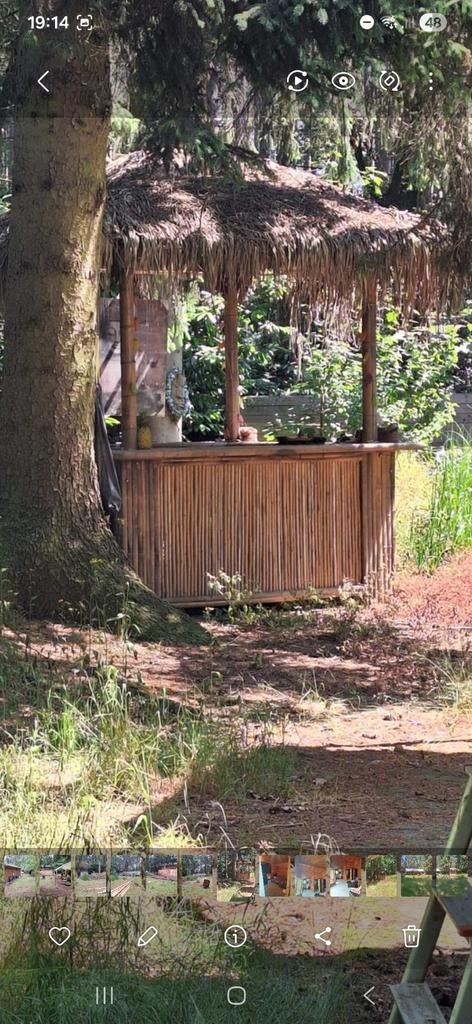 Tiki bar, Enlèvement