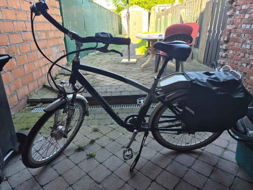Electrische heren fiets, Fietsen en Brommers, Fietsen | Heren | Herenfietsen, Ophalen