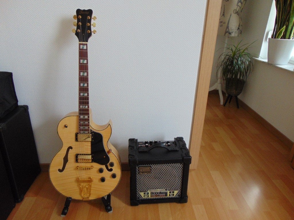 Semi Akoestische hollow body gitaar , AMP Roland Cube 15 XL., Ophalen, Nieuw, Overige typen, Met (piezo-)element