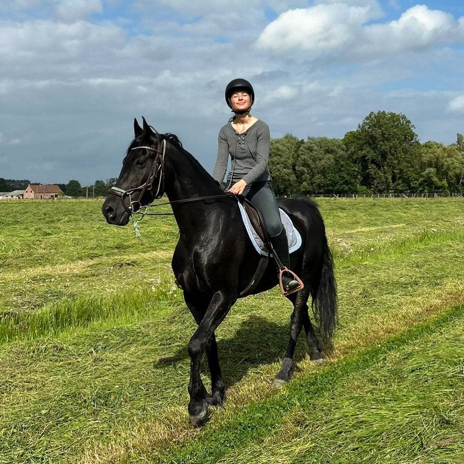 Unieke kans halve stal Arabo Fries 🤩, Animaux & Accessoires, Avec pedigree, 160 à 165 cm, Ne s'applique pas, Cheval de récréation