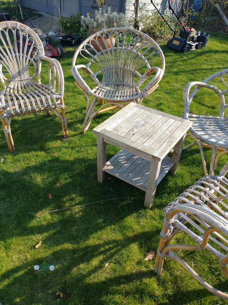 Rieten stoelen rotan, Ophalen, Rotan