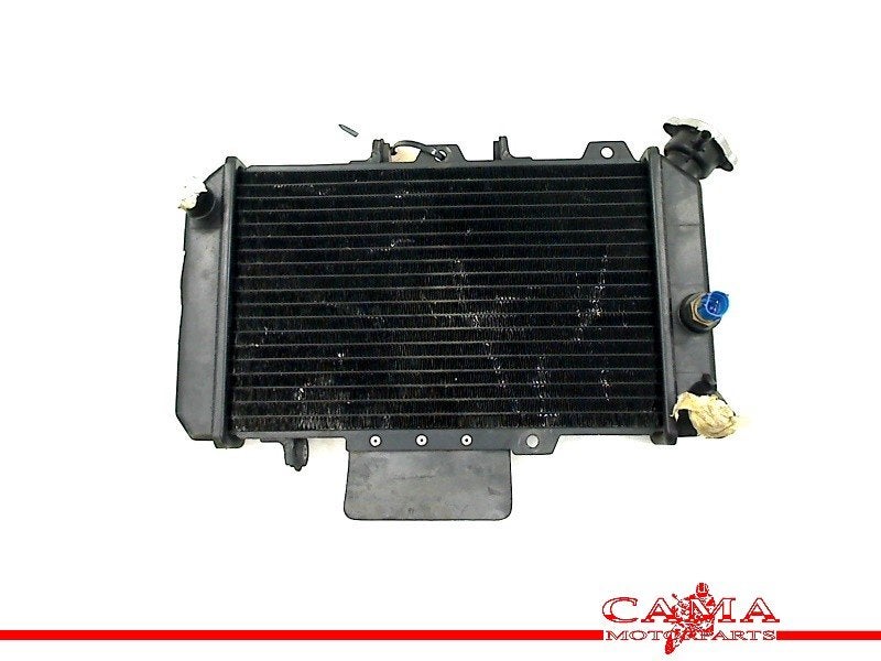 RADIATEUR Hyosung Comet GT650 R (GT650R) (01-1970/-), Motoren, Dhr. S. di Majo, Gebruikt, Info@cama-motorparts.nl, P.J. Troelstraweg 8 8
3144 CX  MAASSLUIS, NL