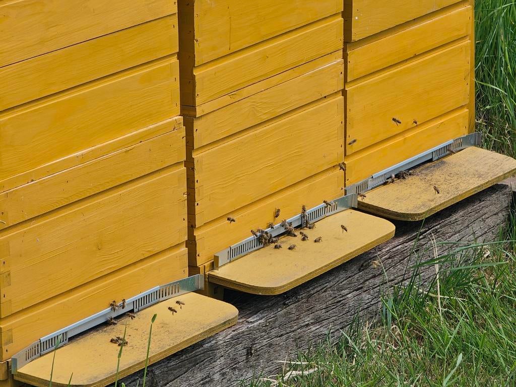 Aflegger Buckfast, Ophalen