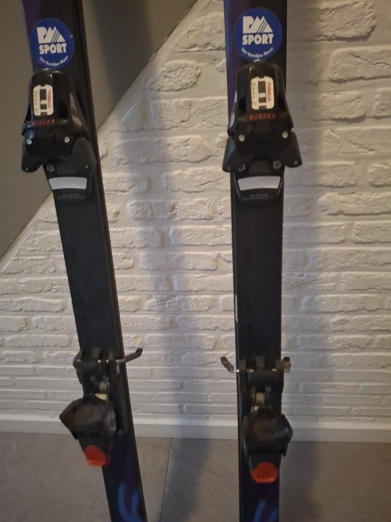 Ski's blizzard, Sport en Fitness, Skiën en Langlaufen, Ophalen, 180 cm of meer, Protest, Zo goed als nieuw