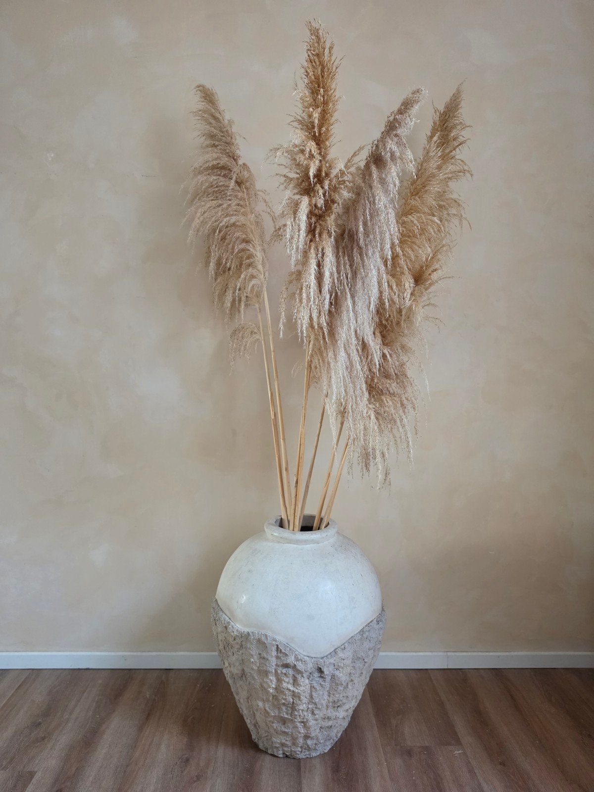 maktan vaas met pampas, Huis en Inrichting, Ophalen