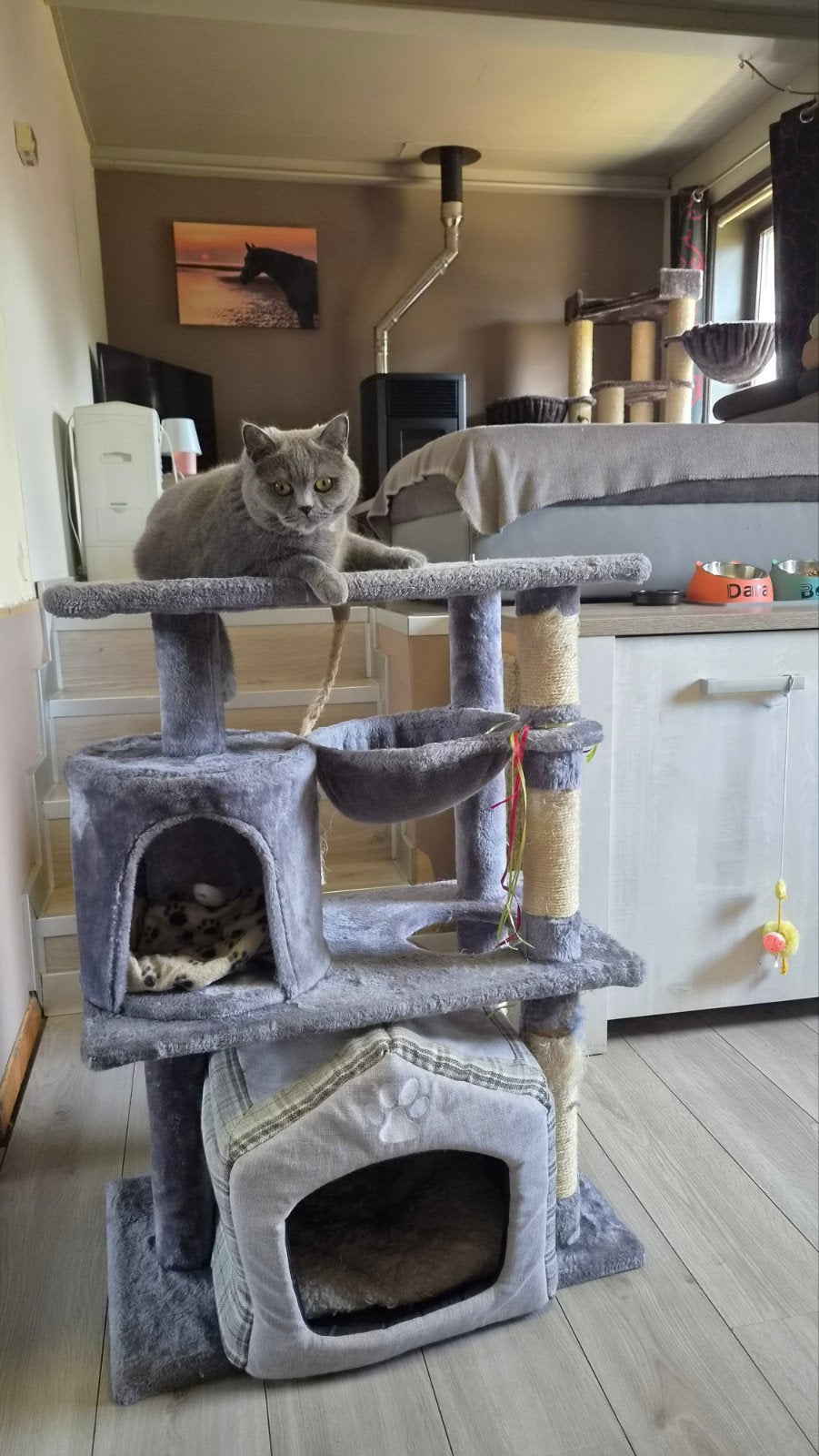 gratis krabpaal, Animaux & Accessoires, Meubles griffoirs pour chats, Enlèvement, Griffoir