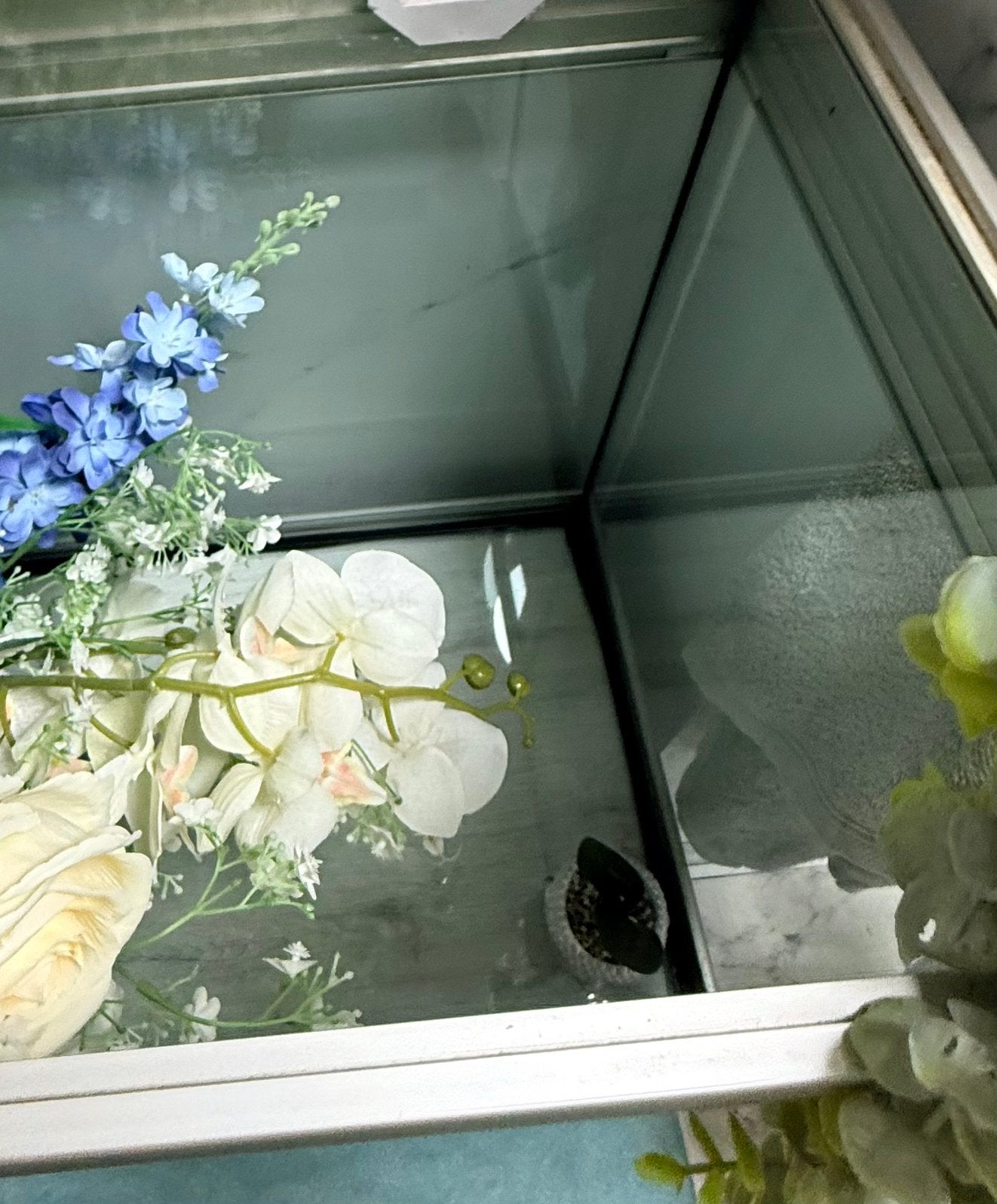 Aquarium met kast (110x35x180) 270 liter, Dieren en Toebehoren, Ophalen of Verzenden, Pomp, Zo goed als nieuw, Eheim