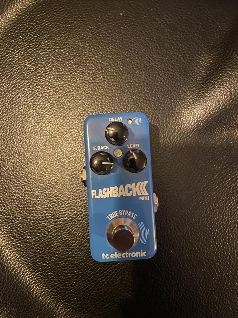 TC Electronic Flashback Mini 2 (Delay), Ophalen of Verzenden, Zo goed als nieuw, Delay of Echo