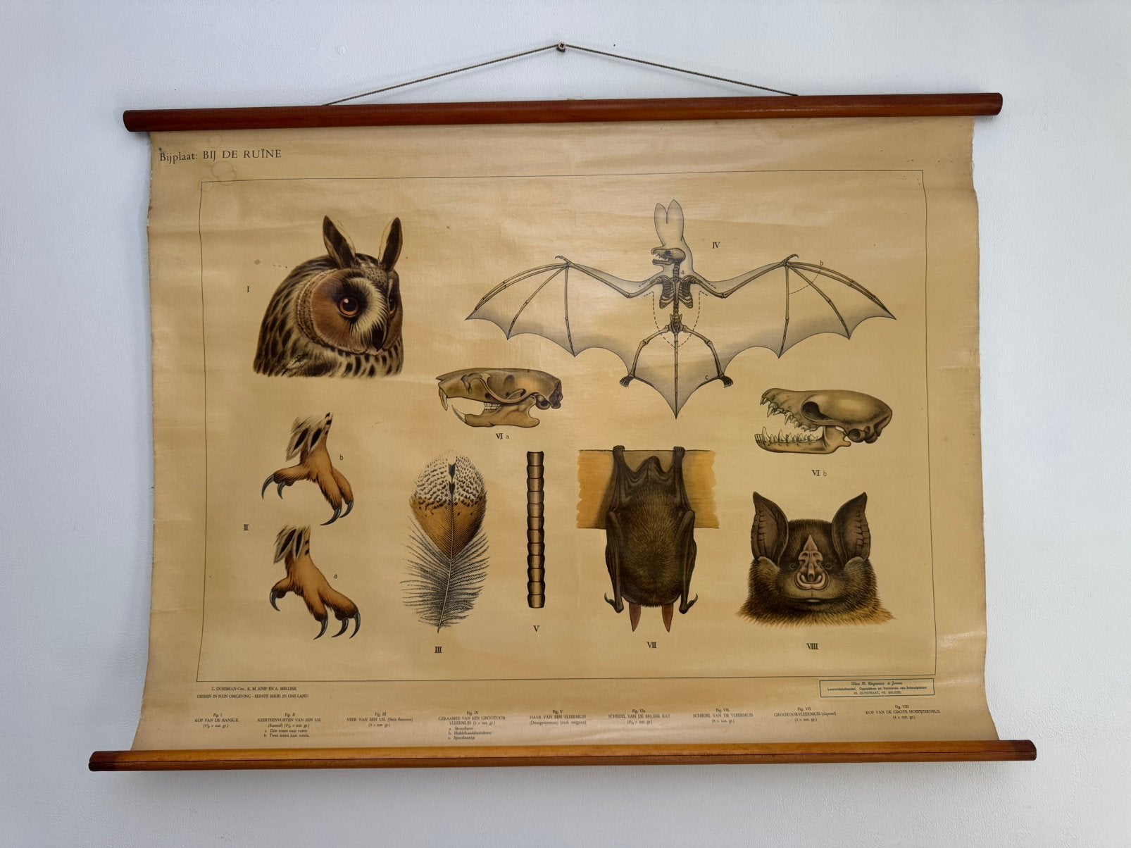 Schoolkaart bij de ruïne, Antiquités & Art, Antiquités | Cartes scolaires, Enlèvement, Nature et Biologie