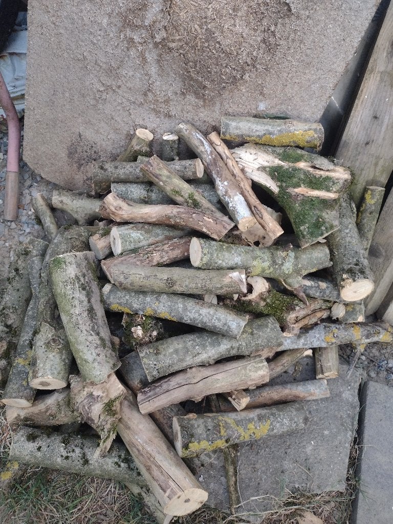 Petit bois d'allumage - Noisetier Sauvage fendu à la main, Enlèvement, Comme neuf