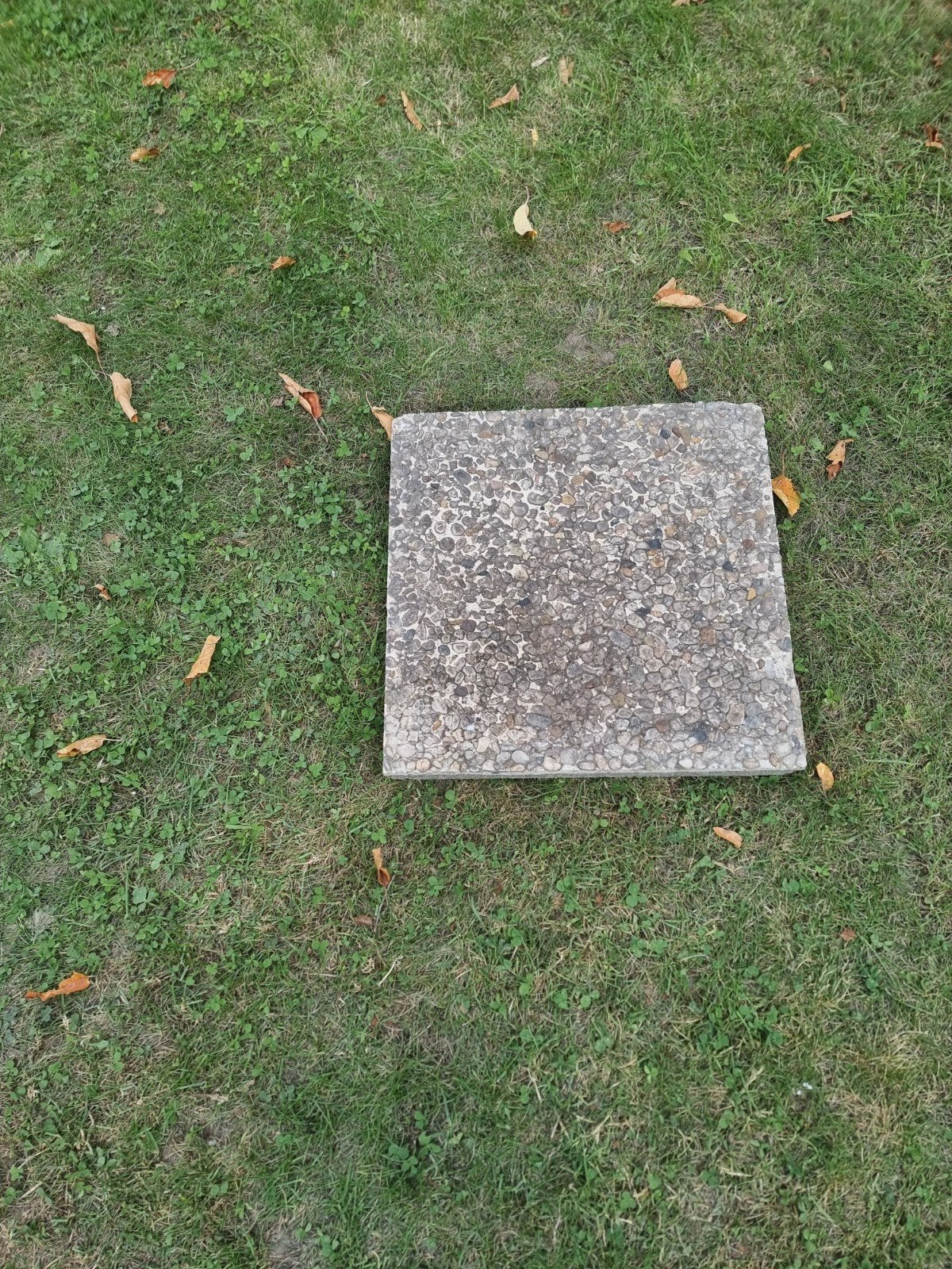 dalles en béton, Jardin & Terrasse, Enlèvement, Béton