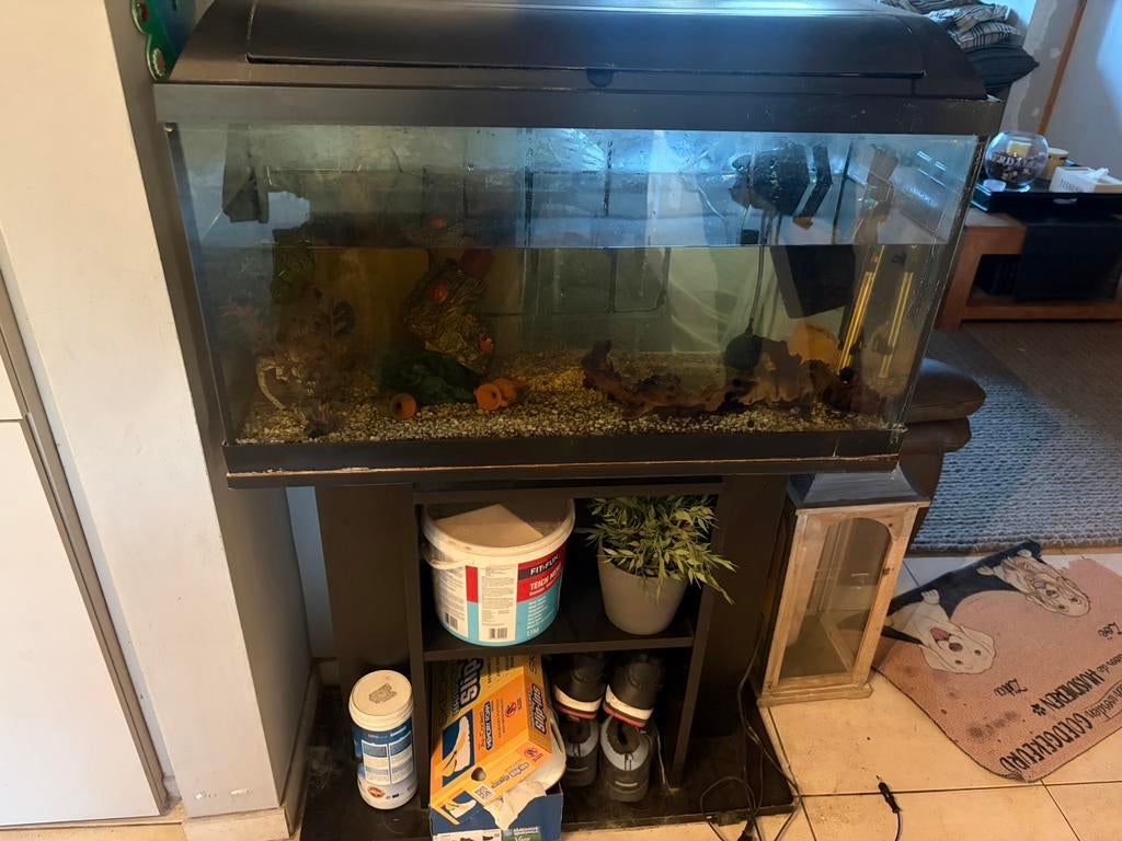 Aquarium met voet, Ophalen, Pomp, Zo goed als nieuw