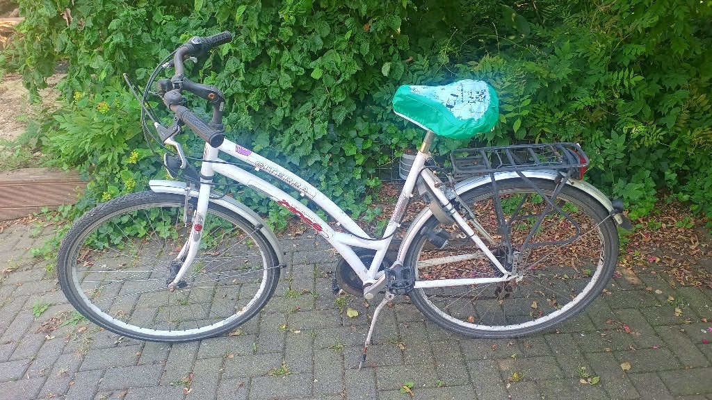 Damesfiets, Enlèvement, Utilisé, Frein sur jante, Vitesses