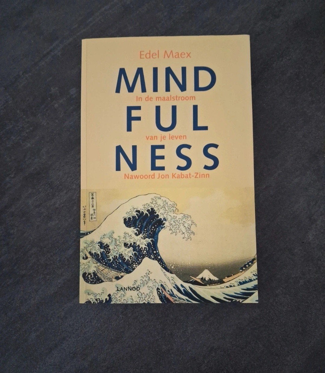 boek mindfulness, Boeken, Verzenden