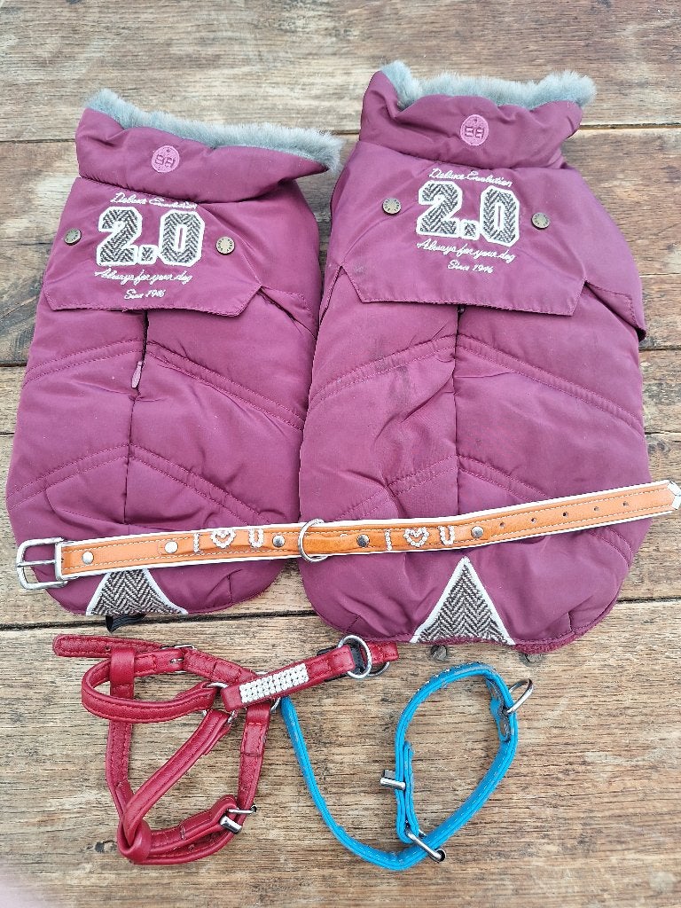 Jasjes en riemen voor kleine honden - merk Bobby, Dieren en Toebehoren, Gevoerd, Gebruikt, Overige merken, Ophalen of Verzenden