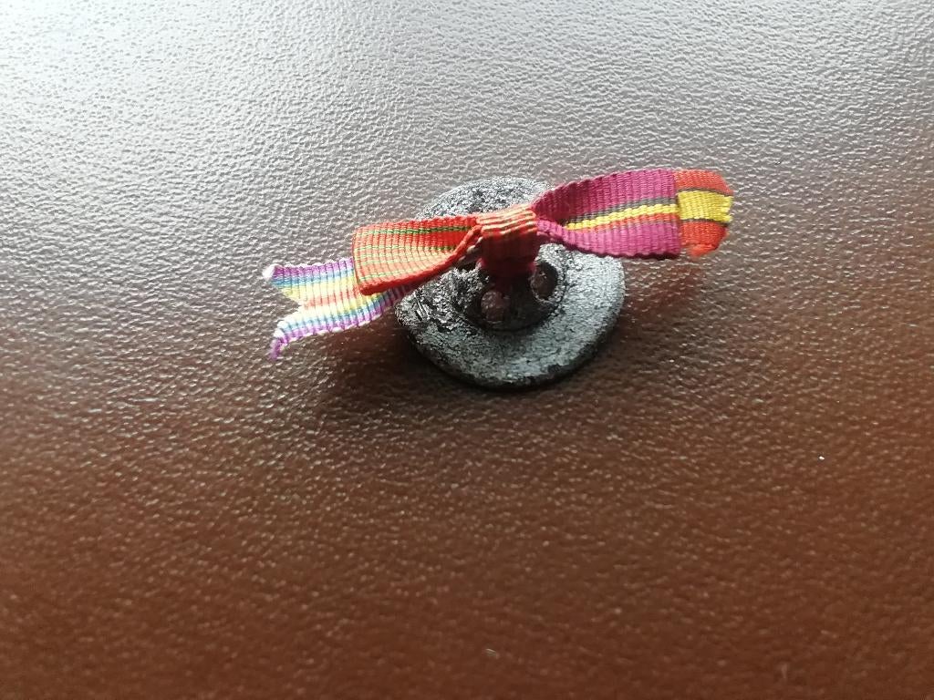 Vétéran belge Boutonnière ww1, Enlèvement ou Envoi, Armée de terre, Ruban, Médaille ou Ailes