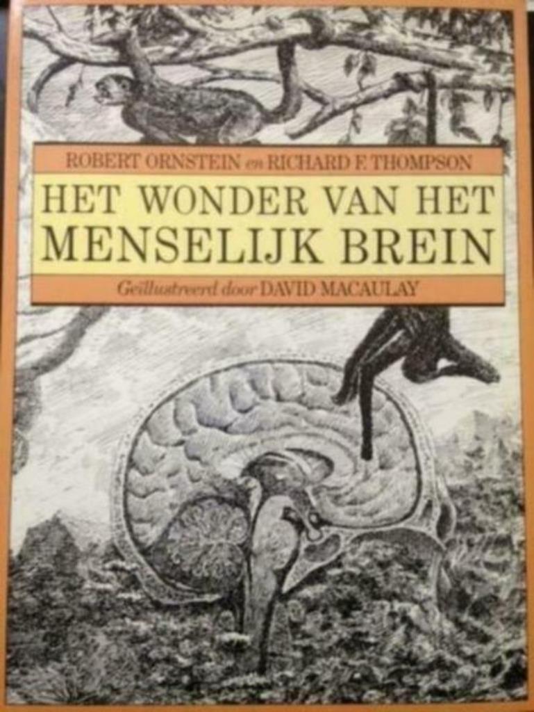 Het wonder van het menselijk brein / Robert Ornstein en, Ophalen of Verzenden, Zo goed als nieuw