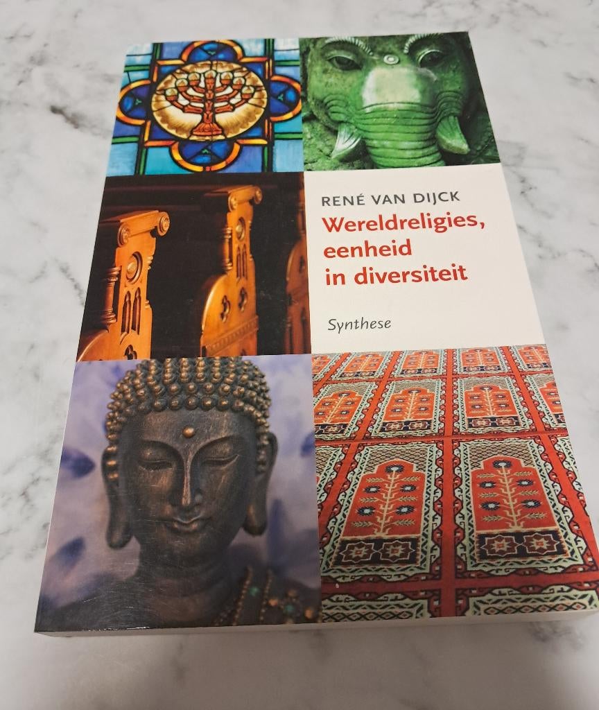 Wereldreligies, eenheid in diversiteit - René van Dijck, Boeken, Godsdienst en Theologie, René van Dijck, Nieuw, Ophalen of Verzenden