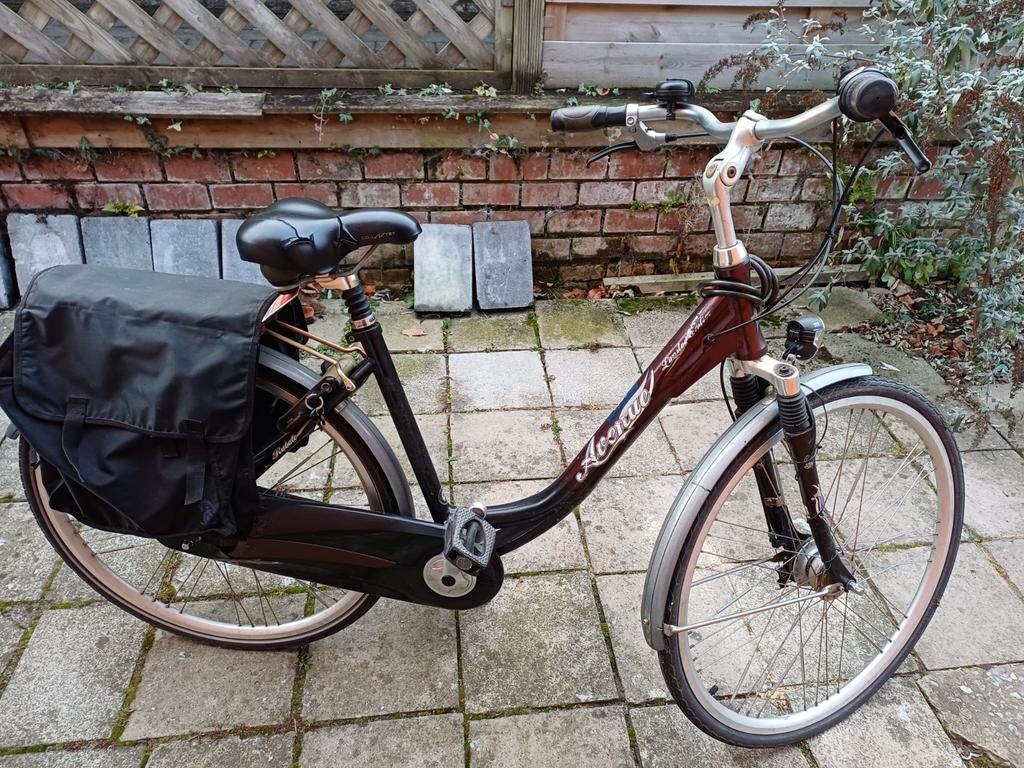 Dames stadsfiets Avenue, Fietsen en Brommers, Ophalen
