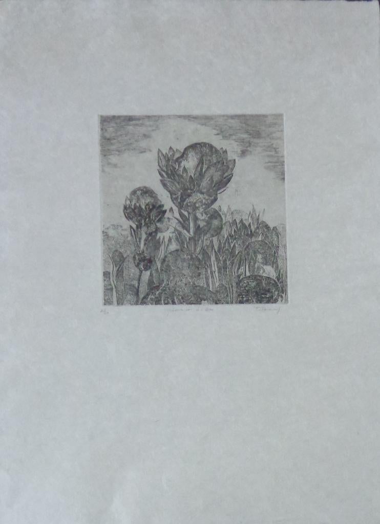FRANS MINNAERT / GEBOORTE LEVEN / ZW-W ETS / 87x67cm / KADER, Enlèvement