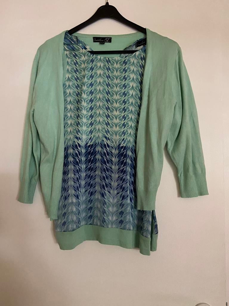 Blouse et cardigan assortis, Vêtements | Femmes, Taille 38/40 (M), Enlèvement ou Envoi, Comme neuf, Vert