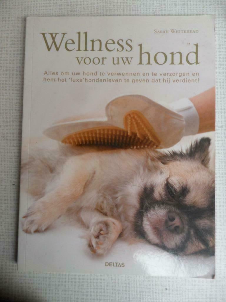 wellness voor uw hond, Enlèvement ou Envoi, Chiens