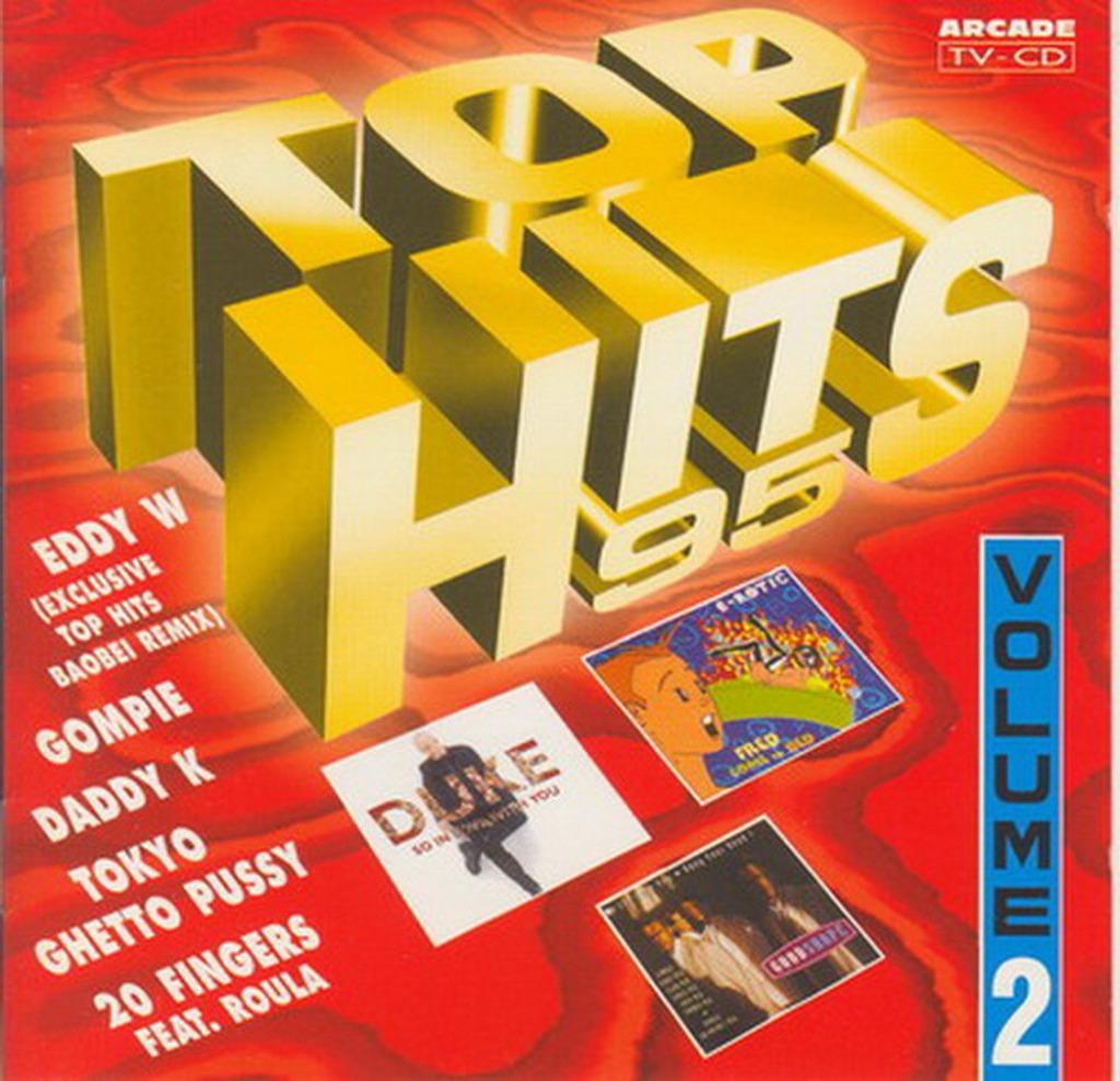 CD * TOP HITS '95 - Vol. 2, Cd's en Dvd's, Cd's | Pop, Zo goed als nieuw, Ophalen of Verzenden