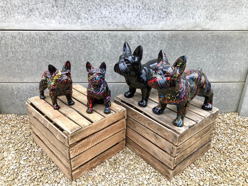Beelden Franse bulldog, Ophalen, Nieuw, Dier