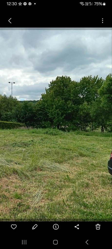 Terrain a batir, Animaux & Accessoires