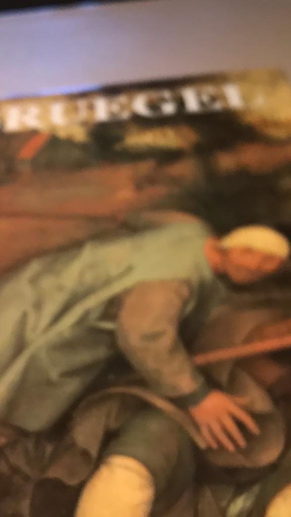 Pieter Breughel catalogue raissoné 445Pag., Ophalen of Verzenden, Zo goed als nieuw, Schilder- en Tekenkunst