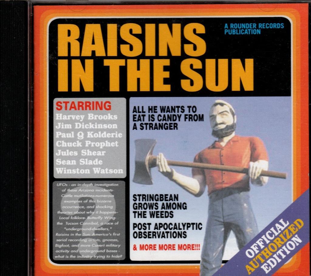 RAISINS IN THE SUN - RAISINS IN THE SUN - CD - 2001 - UK -, Enlèvement ou Envoi, Comme neuf