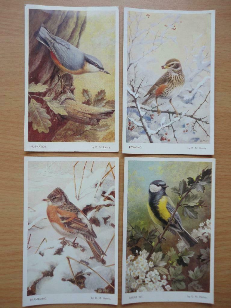 4 postcards winnipeg austen birds 5414 5415 5416 5417 oiseau, Collections, Enlèvement ou Envoi