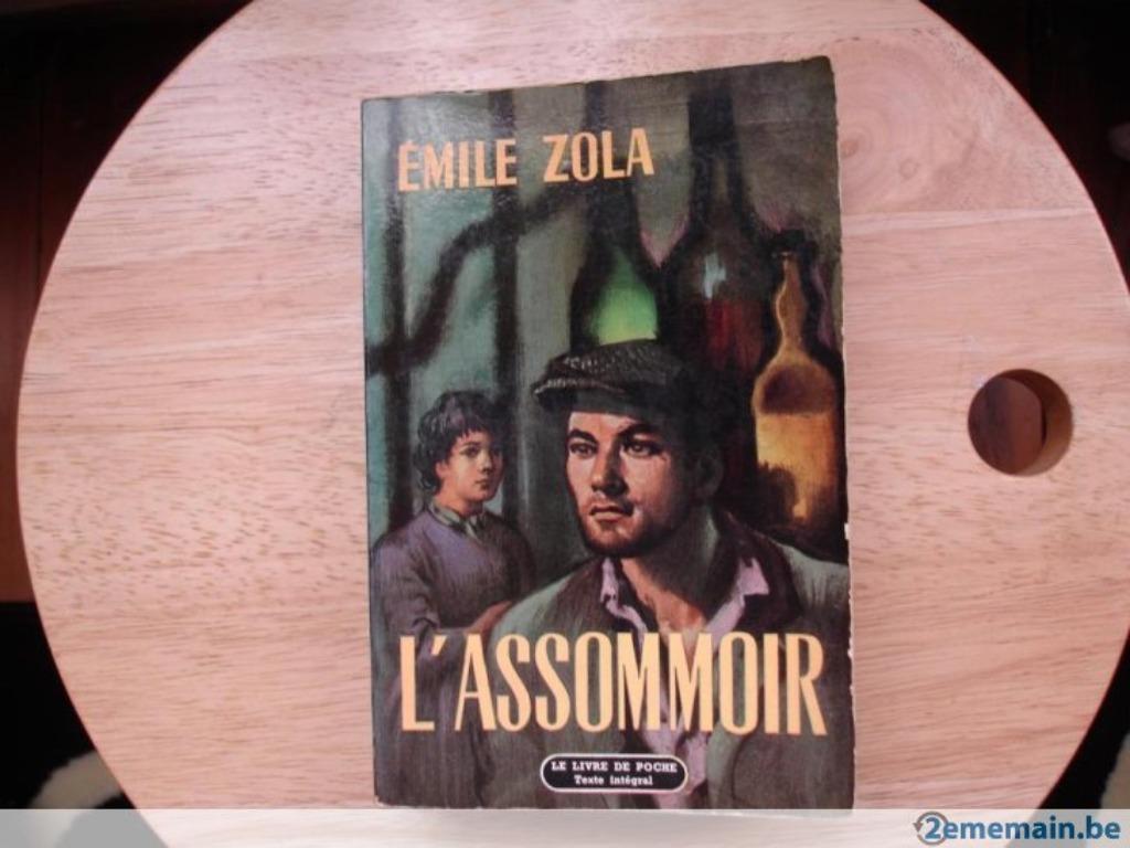 L'assommoir, Emile Zola, Livres, Enlèvement ou Envoi, Utilisé