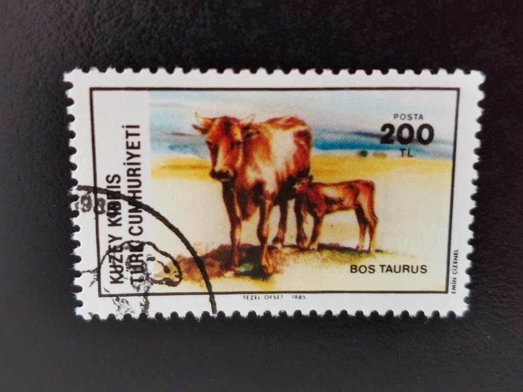 Turks Cyprus 1985 - veeteelt - dieren - runderen, Ophalen of Verzenden, Overige landen, Gestempeld