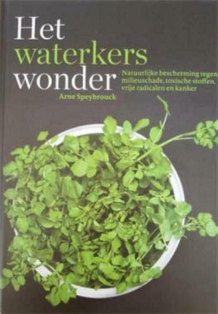 Het waterkerswonder, Arne Speybrouck, Enlèvement