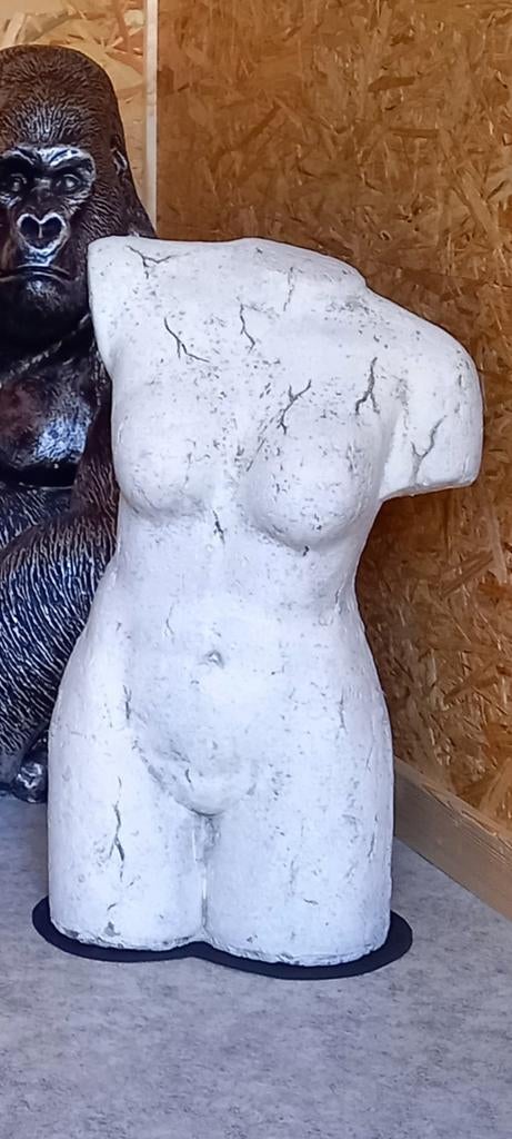Torso Vrouw beeld, Ophalen